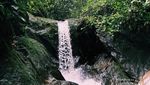 Tangkahan, Ini Tempat Liburan ala NIcholas Saputra