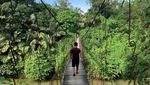 Tangkahan, Ini Tempat Liburan ala NIcholas Saputra