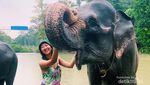 Tangkahan, Ini Tempat Liburan ala NIcholas Saputra