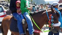 Horse Riding