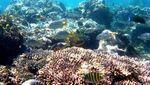 Tanjung Labu, Satu Lagi Pantai Cantik di Bangka Belitung
