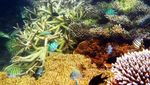 Tanjung Labu, Satu Lagi Pantai Cantik di Bangka Belitung