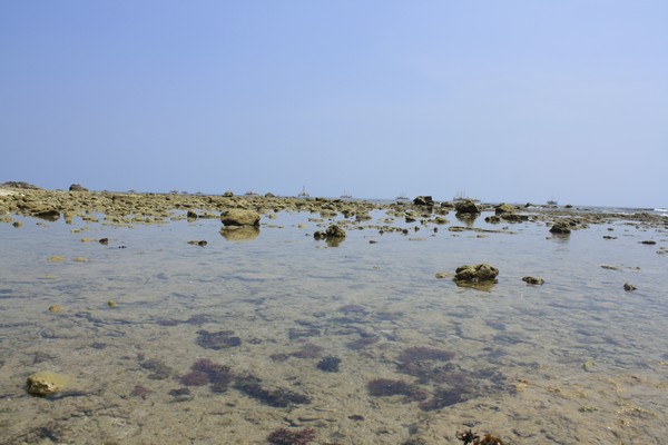 Batu karang di sekitar pantai