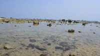 Batu karang di sekitar pantai