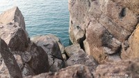 Tebing Tanjung Tuha