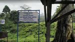 Tansi Ampek, Air Terjun Perawan dari Sumbar