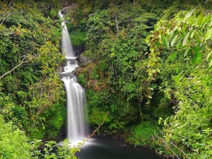 Tansi Ampek, Air Terjun Perawan dari Sumbar