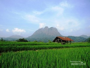 Tantangan Panjat Tebing di Gunung Parang, Purwakarta