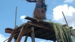 Tari Semut, Lambang Kerukunan Suku Kamoro