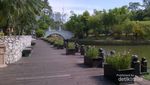 Tasik Perdana, Taman Super Cantik di Kuala Lumpur