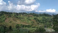 Pemandangan alam dan area persawahan yang ada di sepanjang jalan menuju Curug Batu Blek. Benar-benar menakjubkan!