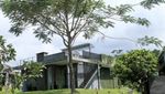 Tea Garden Resort, Destinasi Pelepas Stress yang Lagi Hit di Subang