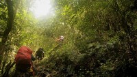 Jalur pendakian Gunung Latimojong
