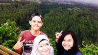 Latar belakang hutan cemara yang indah