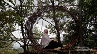 Rumah Ranting - Spot Foto 2