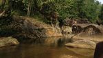 Telaga Buto di Jambi, Tempat Wisata Asyik Bareng Keluarga