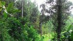 Telaga Kumpe, Kecantikan Tersembunyi dari Banyumas