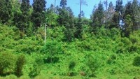 Telaga Kumpe