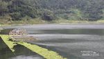 Telaga Menjer, Sisi Lain Keindahan Dieng yang Wajib Dicoba