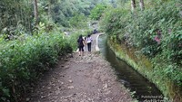 Jalan menuju ke telaga