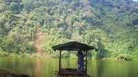 Pemandangan hijau dari rakit