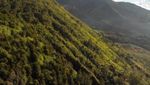 Telaga yang Cantik di Lereng Bukit Sikunir