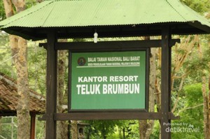 Teluk Brumbun, Surga Tersembunyi Si Burung Jalak Bali