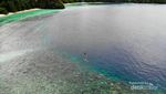 Teluk Cinta di Pulau Labengki, Bikin Jatuh Hati