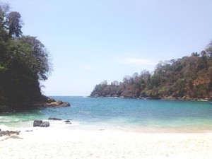 Teluk Hijau, Primadona Baru dari Banyuwangi
