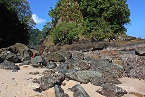 Teluk Hijau, Serasa Pantai Pribadi di Banyuwangi