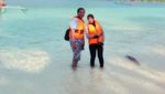 Teluk Kiluan, Sekali Datang Tak Mau Pulang