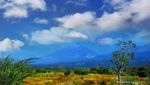 Teluk Surga di Lombok Timur