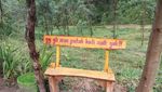 Tempat Asyik Melupakan Mantan di Jawa Tengah