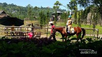 Serunya naik kuda pakai kostum