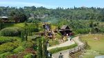 Tempat Asyik Naik Kuda di Bogor
