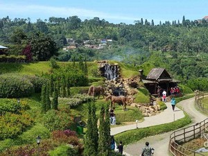 Tempat Asyik Naik Kuda di Bogor