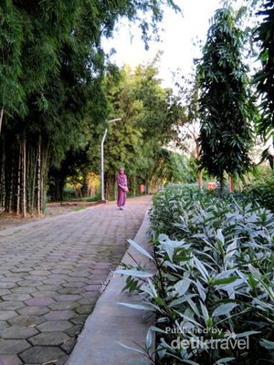 Tempat Buang Sampah Jadi Taman Bunga Indah di Surabaya