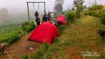 Tempat Camping Asyik di Kaki Gunung Sumbing