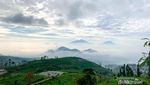 Tempat Camping Asyik di Kaki Gunung Sumbing