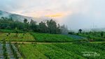 Tempat Camping Asyik di Kaki Gunung Sumbing