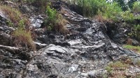 Daerah Pucangan, Batuan Serpentinit
