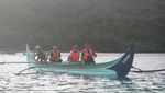 Tempat Kamu Melihat Lumba-lumba di Lampung
