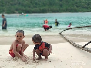 Tempat Kamu Melihat Lumba-lumba di Lampung
