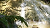 Kawasan ini dinaungi rindangnya pepohonan hijau