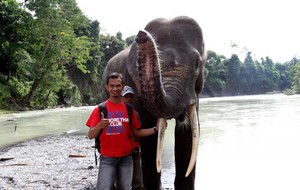 Tempat Memandikan Gajah di Sumatera Utara