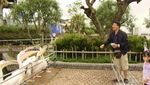 Tempat Membelai Paus di Jepang