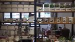 Tempat Paling Hits di Hong Kong: PMQ