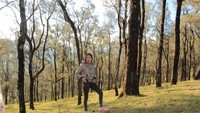 Hutan Ampupu di Kabupaten Timor Tengah Selatan ini bak pemandangan di luar negeri