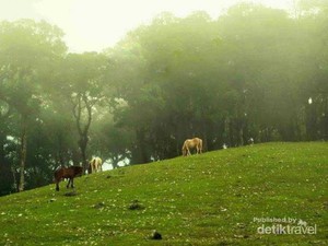 Tempat Paling Romantis di Timor Tengah Selatan