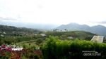 Tempat Sunrise yang Epik di Magelang, Silancur Highland